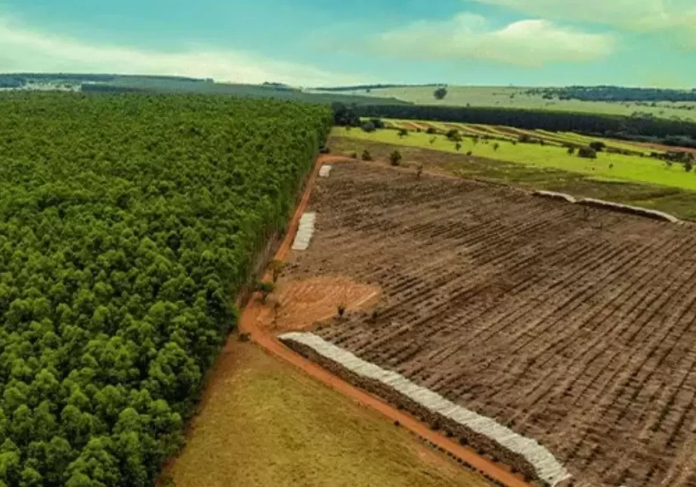 A decisão é uma conquista para os produtores rurais