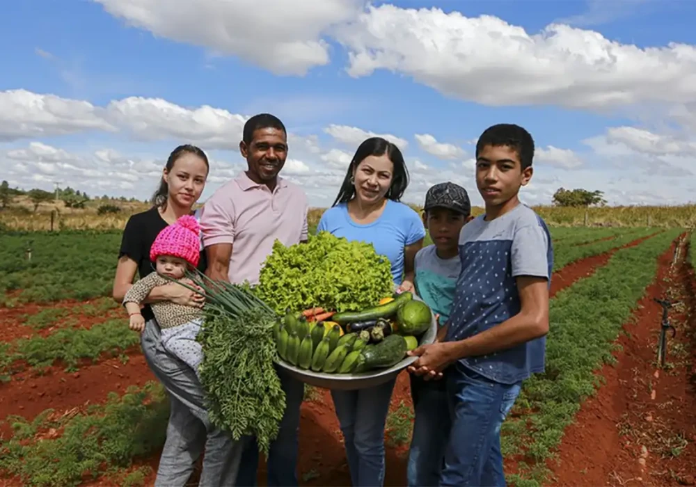 A agricultura familiar utiliza hoje práticas modernas, promovendo uma produção mais sustentável e inclusiva - Foto: Albino Oliveira - Ascom/MDA