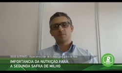 Imagem da matéria