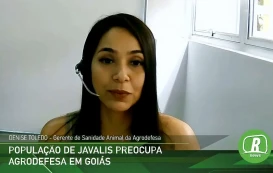 Imagem da matéria