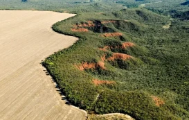 Imagem da matéria