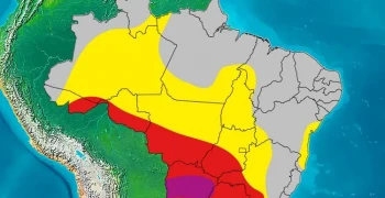 Risco de temporais no Brasil para 07/11/24. Fonte: Climatempo