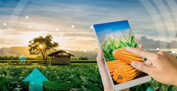 50% dos agricultores do país já adotam ou estão dispostos a incorporar tecnologias agrícolas de precisão nas suas operações