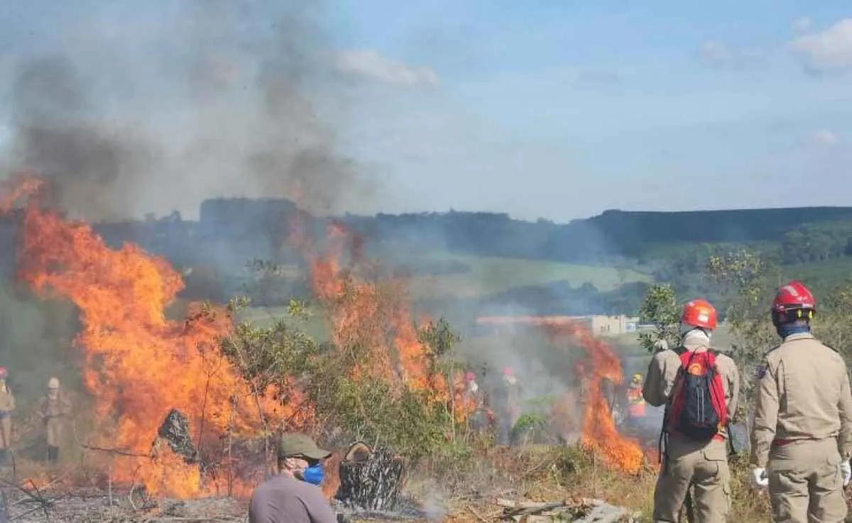 Há 62 anos, Paraná vivia uma de suas piores tragédias no meio rural