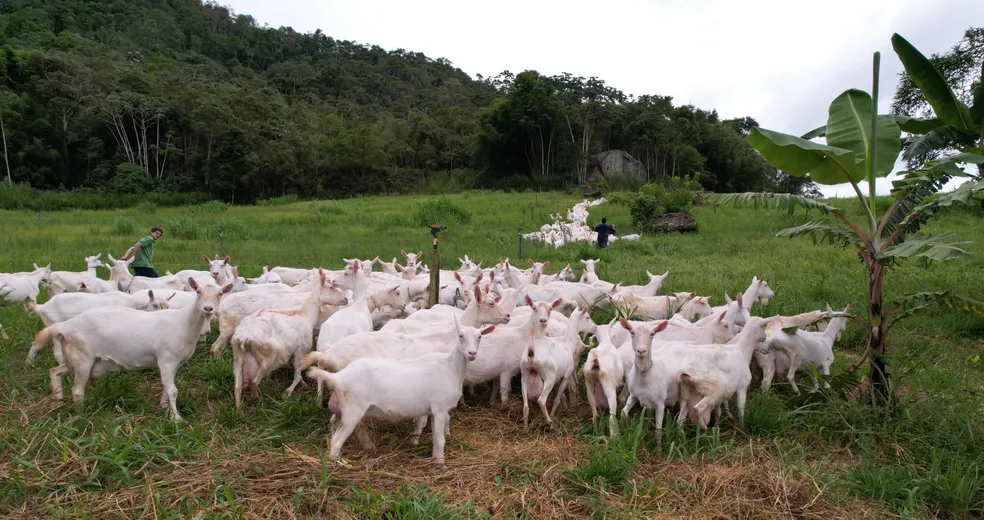 Localizada na Município de Sapucaia (RJ), Vale das Amaltheias conta 89 hectares, sendo 54 de Mata Atlântica preservada